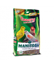 Manitoba Canary Best Premium