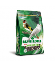 Manitoba graines à germer (Alta Germinazione) 2.5kg
