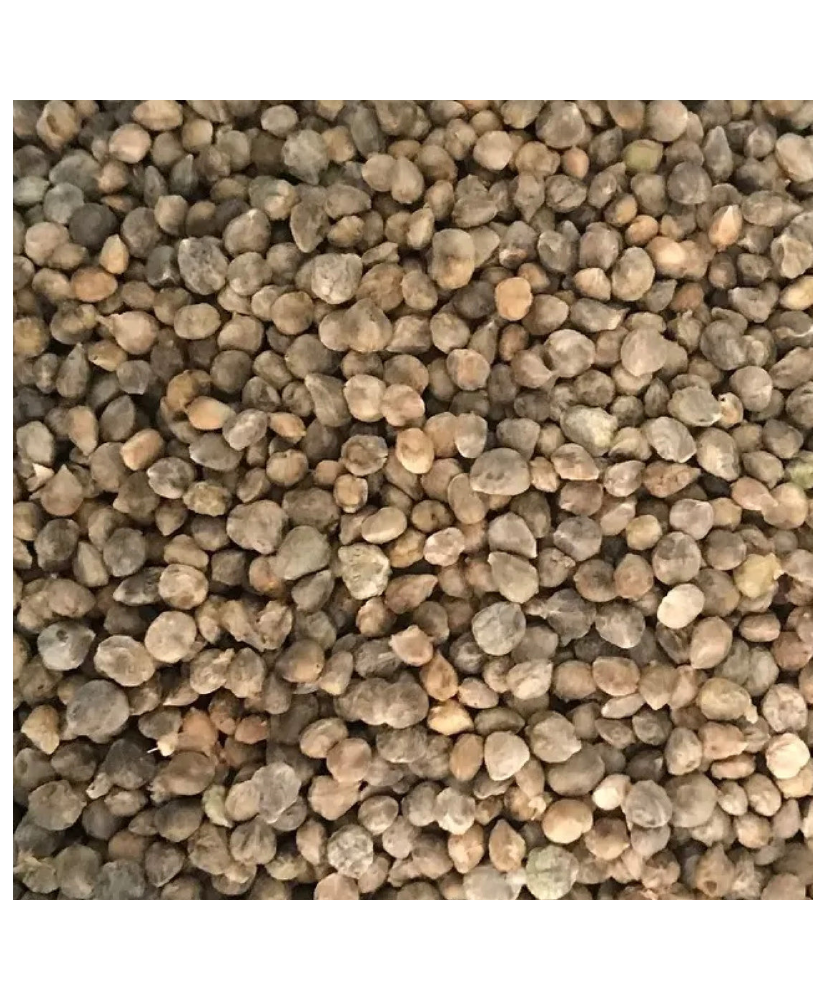 Epinard 1 kg