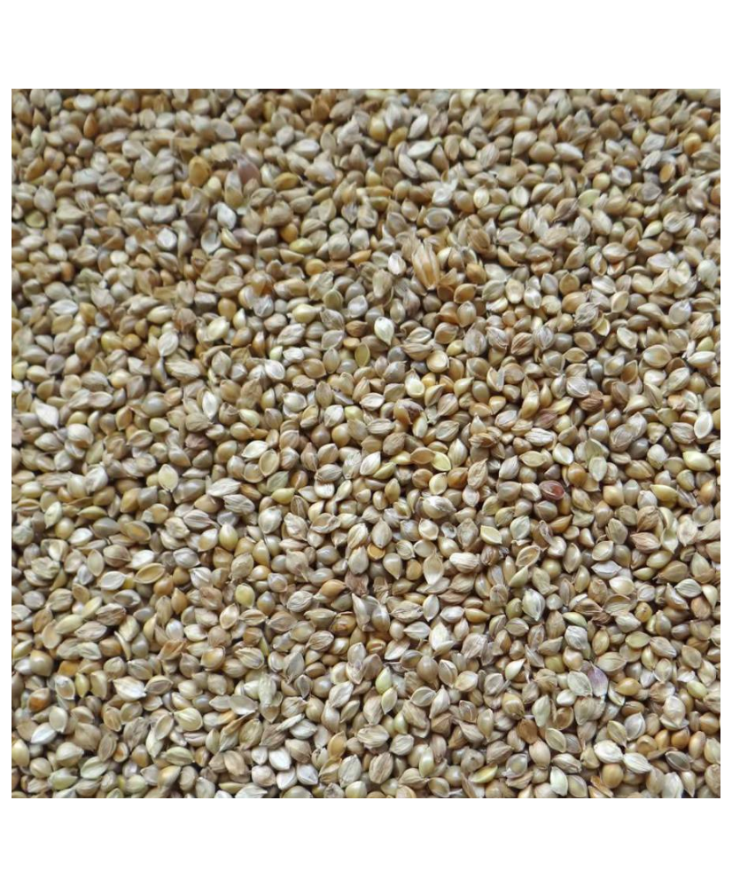 Millet japonais 1 kg