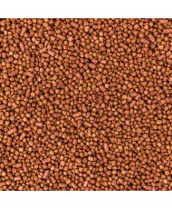 Wisbroek Parrot fruit blend daily small (Granulés extrudés pour perruches) 3 kg