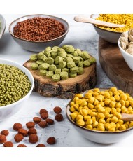 Wisbroek Parrot fruit blend daily Large (Granulés extrudés pour perroquets) 1 kg