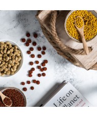 Wisbroek Parrot fruit blend daily Large (Granulés extrudés pour perroquets) 3 kg