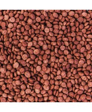 Wisbroek Parrot fruit blend daily Large (Granulés extrudés pour perroquets) 3 kg