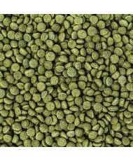 Wisbroek Parrot nut blend daily large (Granulés extrudés pour perroquets) 3 kg