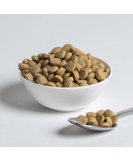 Wisbroek Parrot low fat daily large (Granulés extrudés pour perroquets) 3 kg