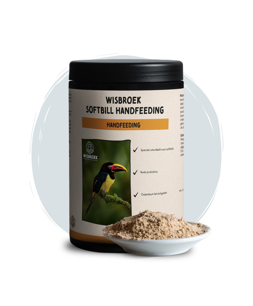 Wisbroek Softbill Handfeeding (élevage à la main pour oiseaux frugivores)