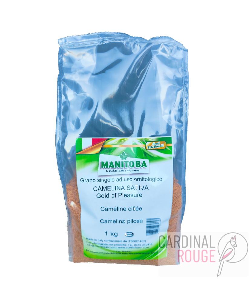 Manitoba Cameline (gold of pleasure) 1 kg