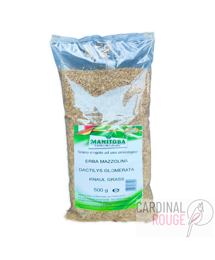 Manitoba dactyle pelotonné 500g