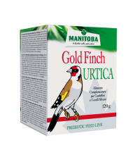 Manitoba Urtica Goldfinch