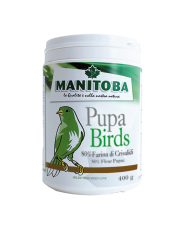 Manitoba Pupa Birds