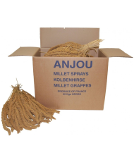 Millet jaune en grappes (Anjou, Français) 25 kg