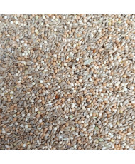 Hoebregts 222 Oiseaux exotiques et goulds (Michotte) 20 kg