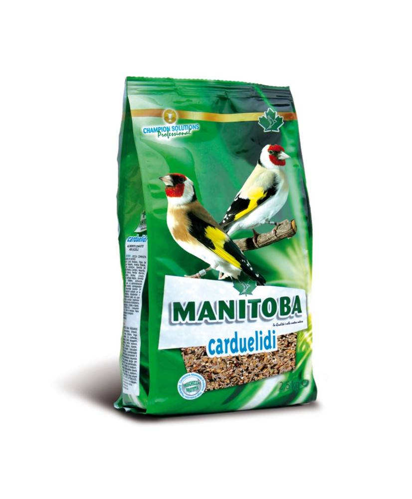 Manitoba Carduelidi (chardonnerets light)