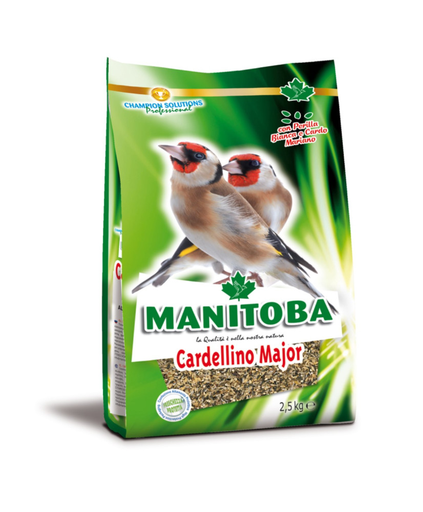 Manitoba Cardellino (Chardonneret) Major 2.5 kg