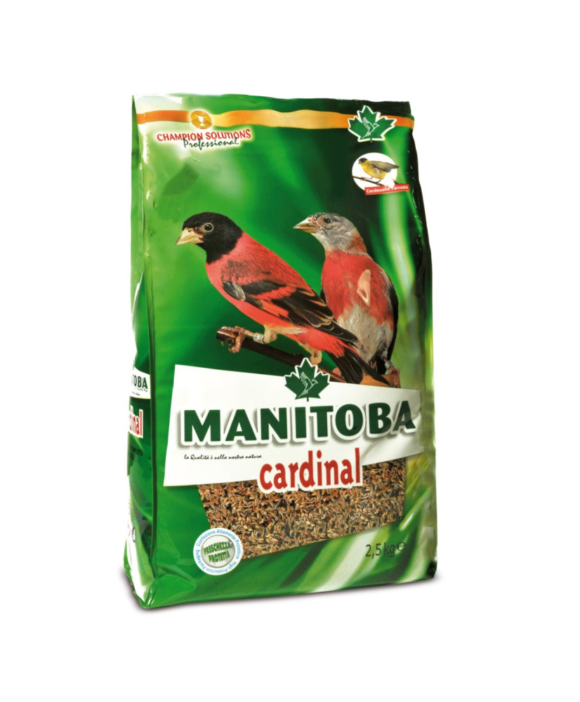 Manitoba Cardinal - Tarin de Venezuela 800g