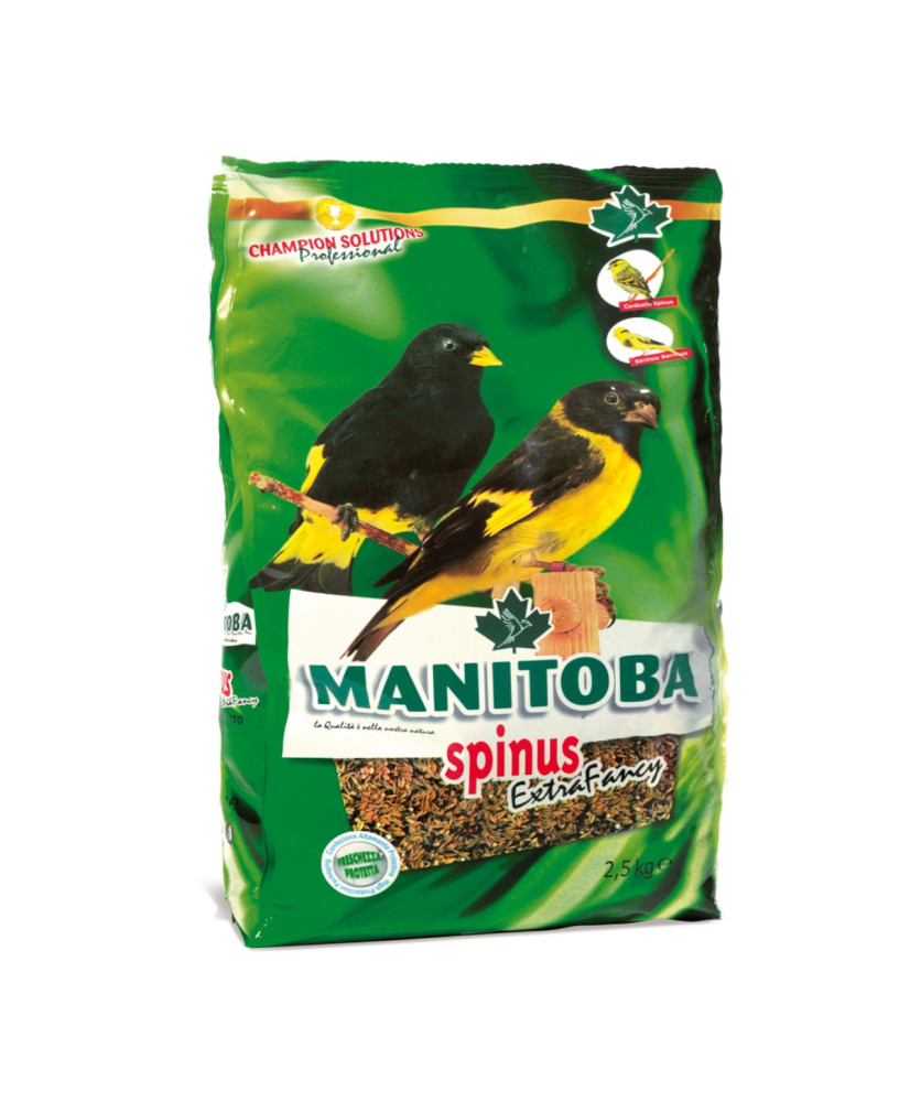 Manitoba Spinus Extra Fancy - Tarins 2.5 kg