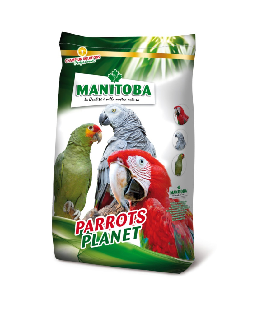 Manitoba Amazon parrots - Perroquets amazone 15 kg