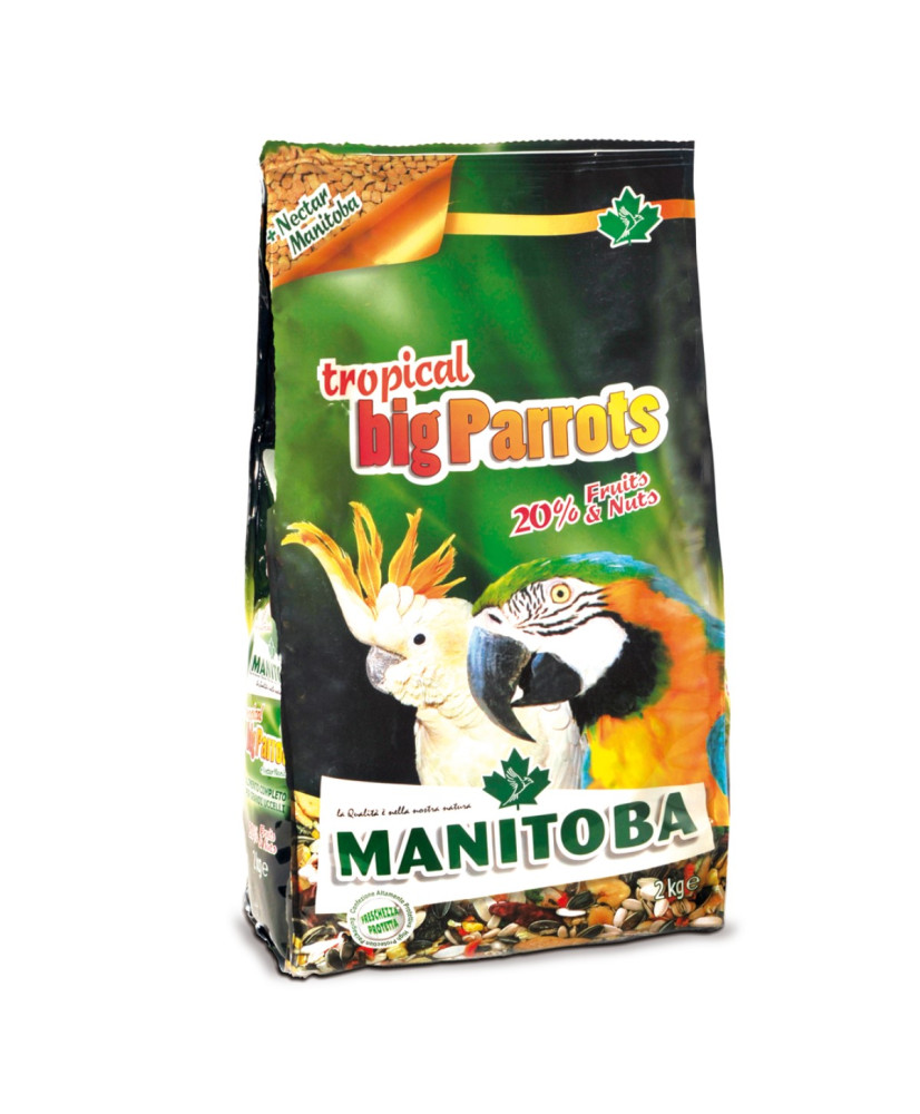 Manitoba Tropical Big parrots