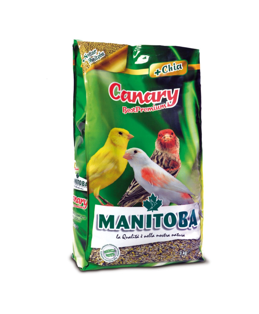 Manitoba Canary Best Premium