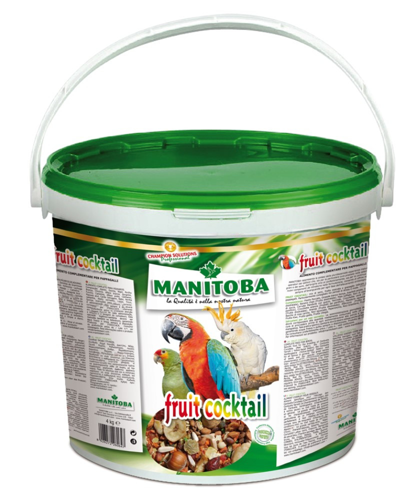Manitoba Fruit Cocktail (mélange de fruits et noix) 4 kg