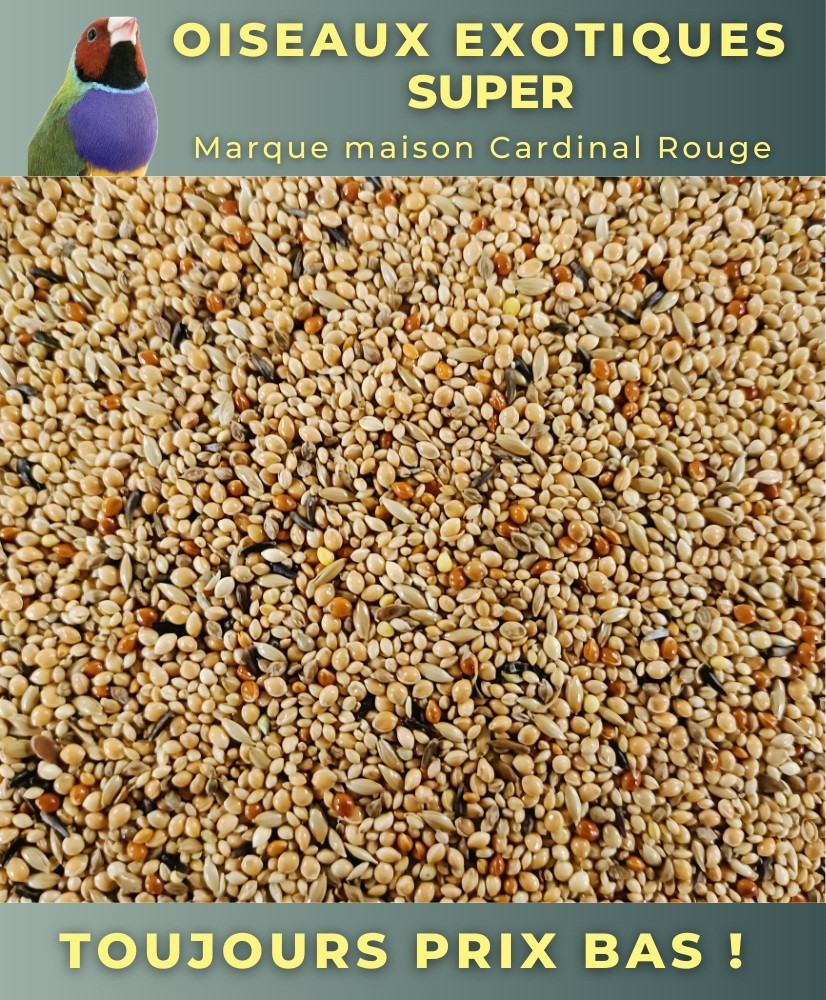 Graines oiseaux exotiques super 4 kg - Cardinal Rouge