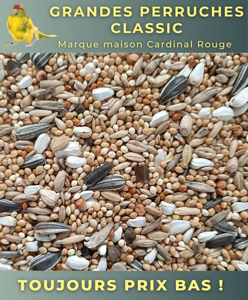 Grandes perruches super 20 kg - Cardinal Rouge