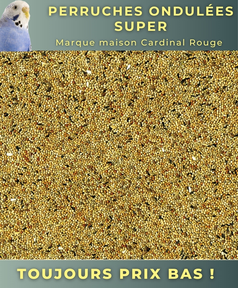 Petites perruches super 20kg - Cardinal Rouge