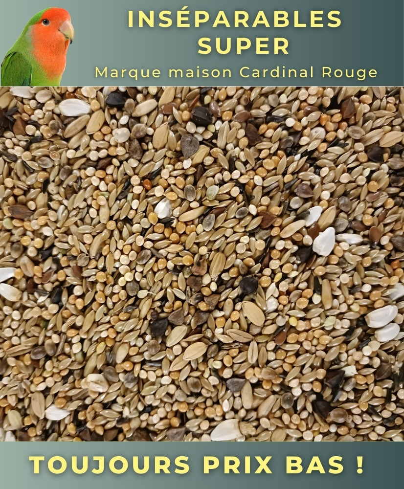 Inséparables (agapornis) super 4kg - Cardinal Rouge