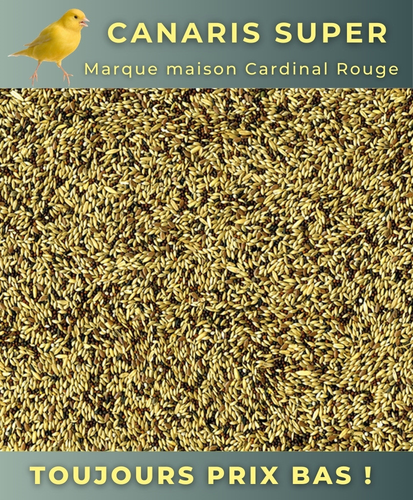 Canaris Super 20kg - Cardinal Rouge