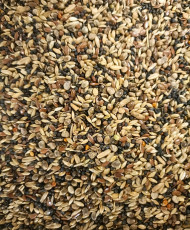 Hoebregts tarins & chardonnerets