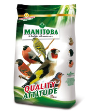 Manitoba Carduelito bianco (sans graines noires)