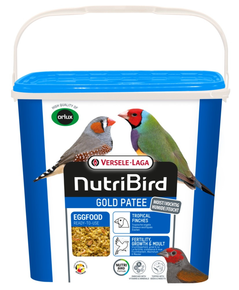 Gold Patee Oiseaux Exotiques 5kg - pâtée grasse - Nutribird