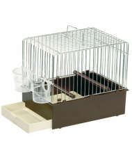 Cage chantante brun