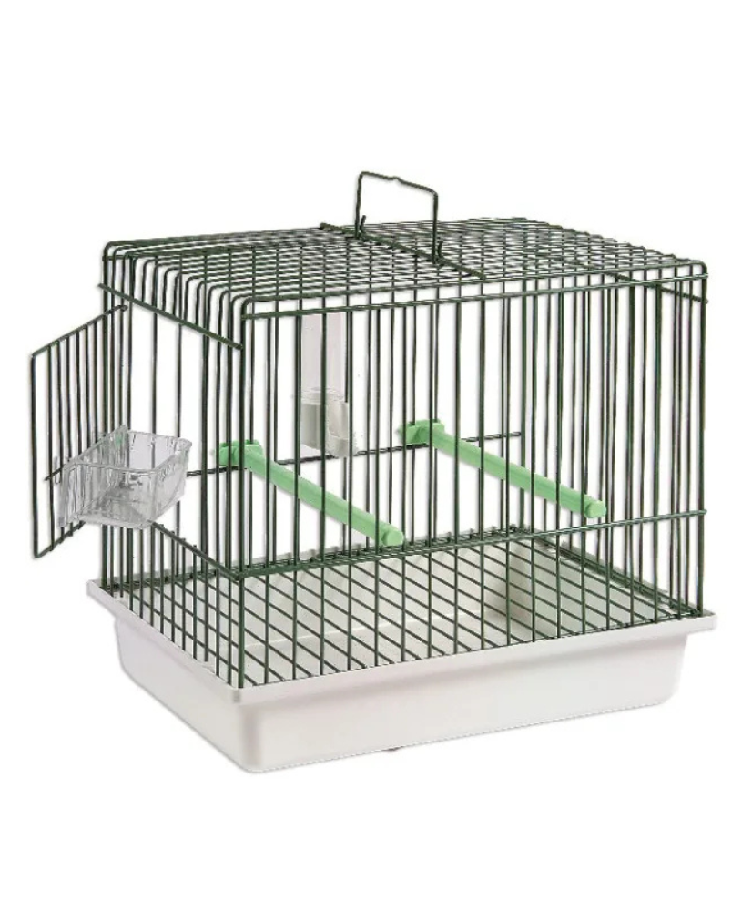 Cage chantante vert