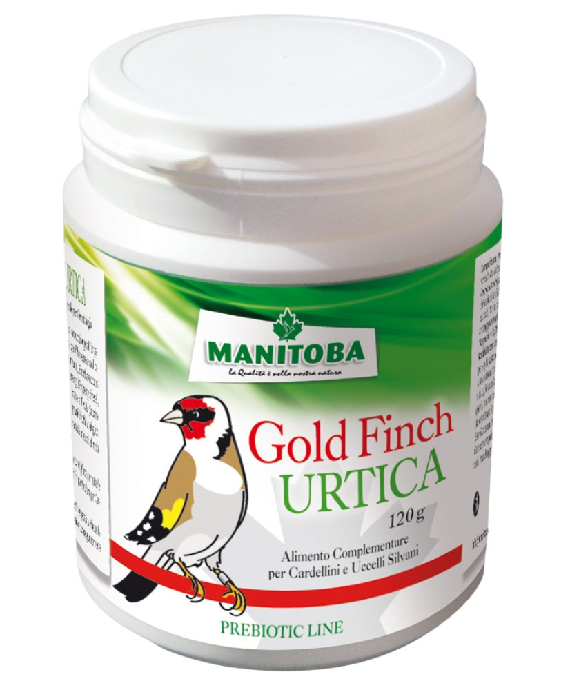Manitoba Urtica Goldfinch - chant et fertilité au naturel 100g