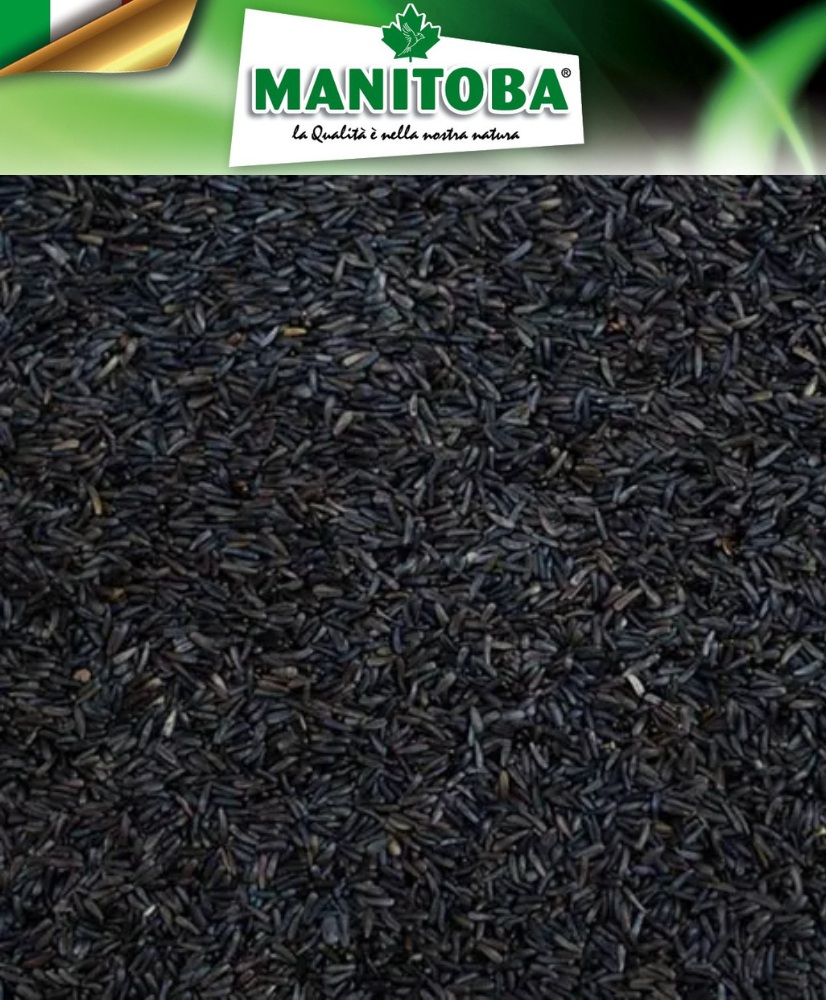 Niger 1kg - Manitoba