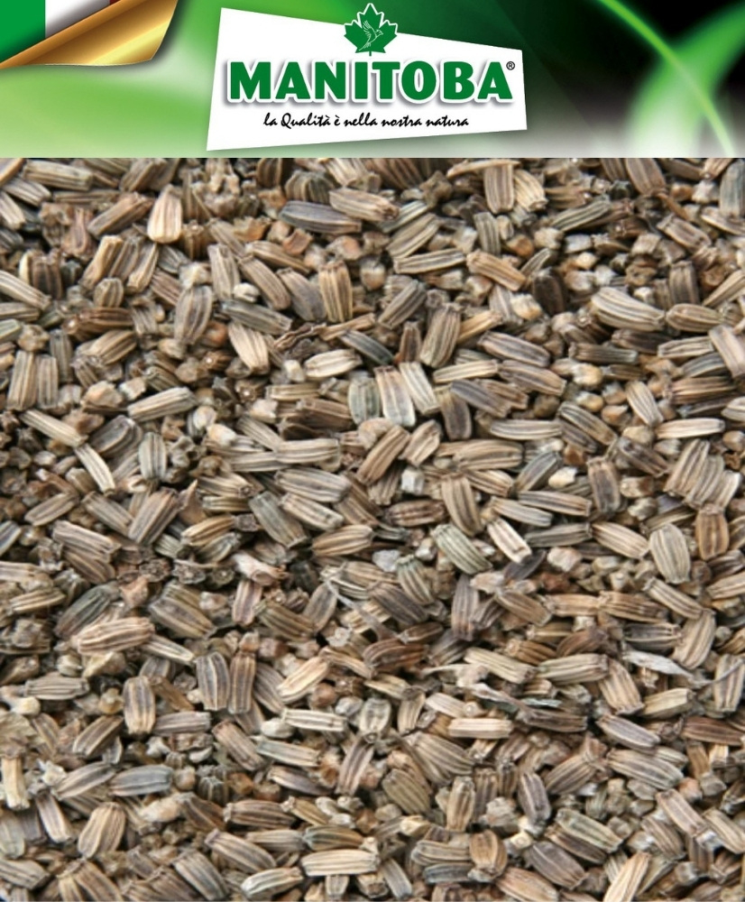 Cardère (chardon sauvage) 500 g