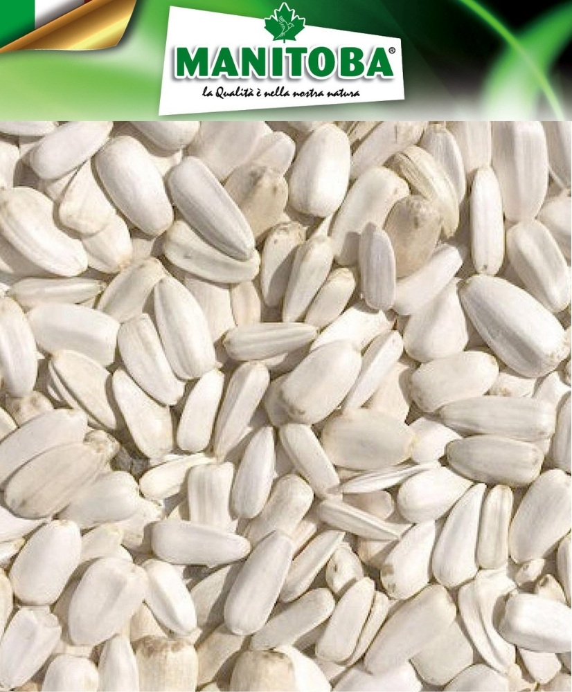 Tournesol blanc 500g - Manitoba