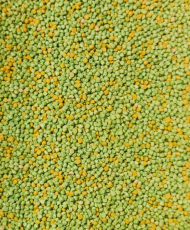 Unica Softball Green 5kg - l'alternative pour Perle Morbide