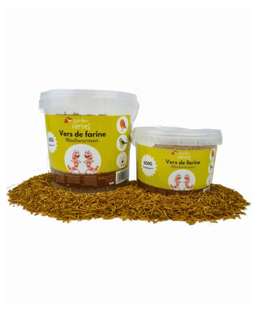 Vers de farine déshydratés 1.5kg