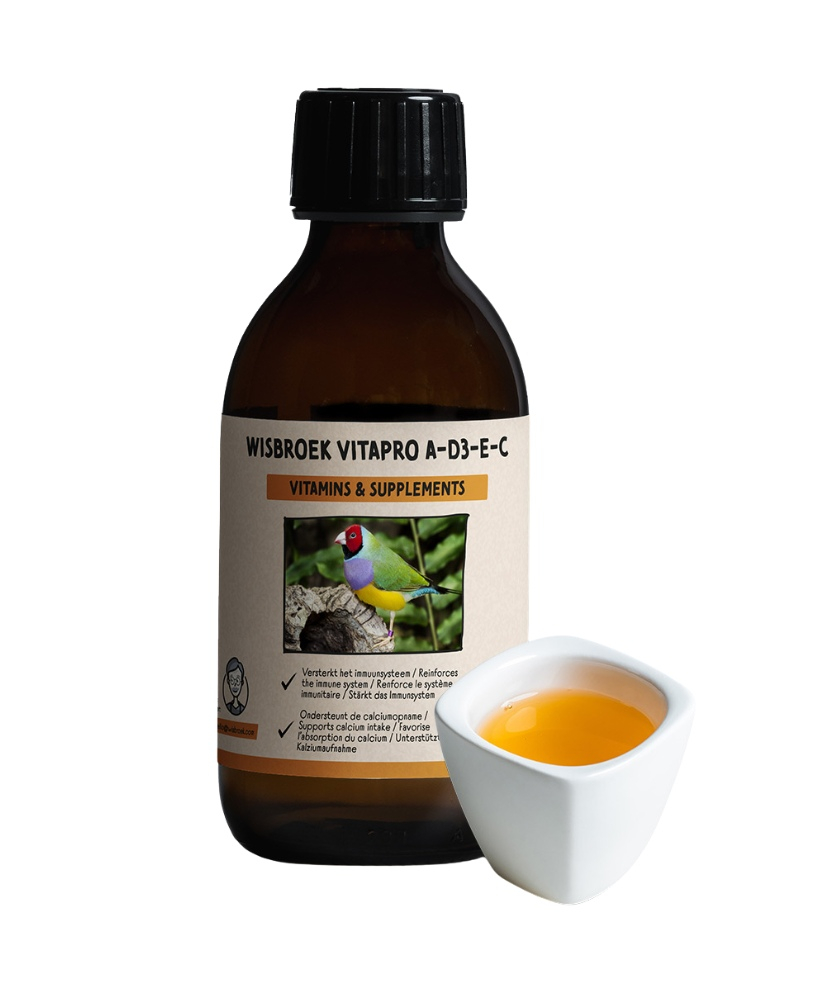 Wisbroek VitaPro A‑D3‑E‑C 200 ml – Multivitamines hydrosolubles