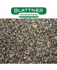 Blattner graines à germer pour tarins 2,5kg
