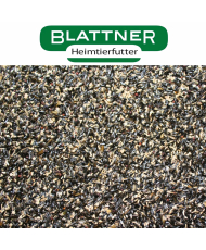 Blattner graines à germer pour tarins 2,5kg