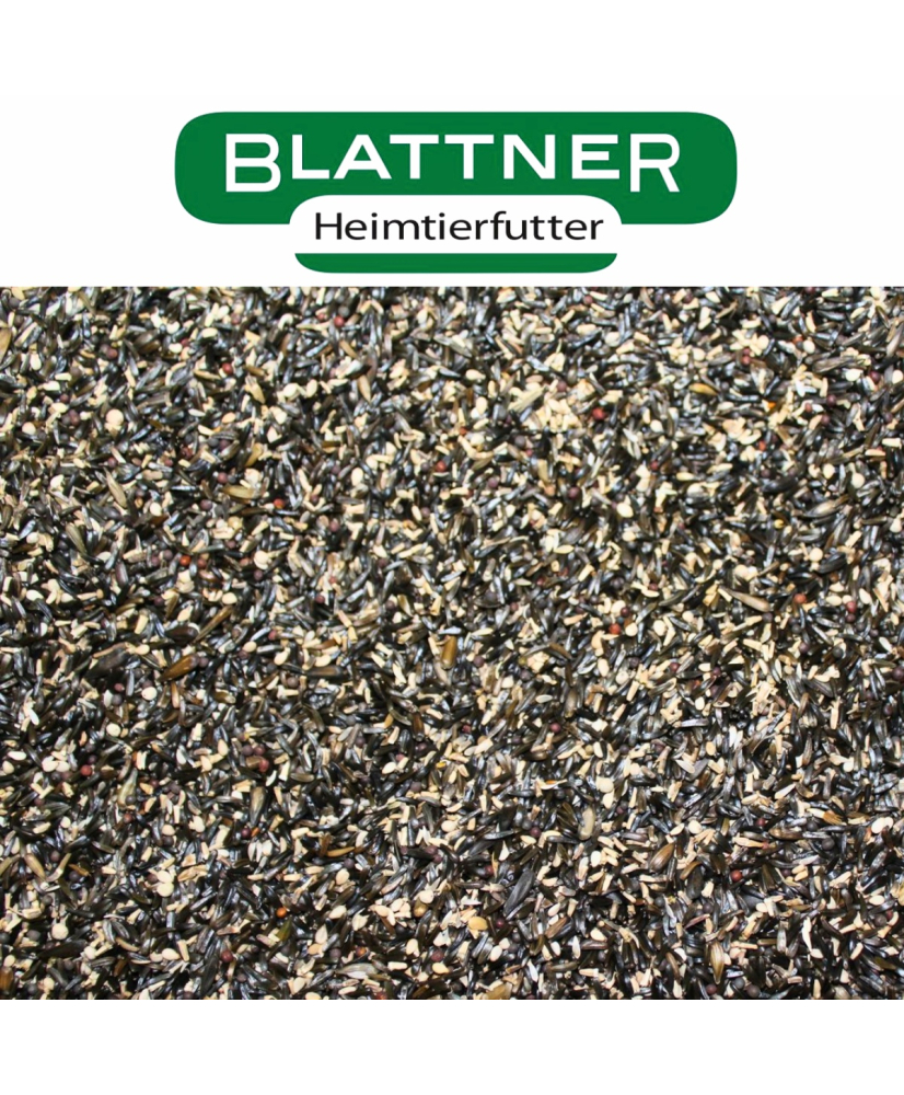 Blattner graines à germer pour tarins 2,5kg