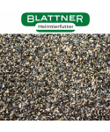 Blattner graines à germer pour tarins 2,5kg