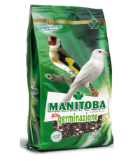 Manitoba graines à germer (Alta Germinazione) 2.5kg