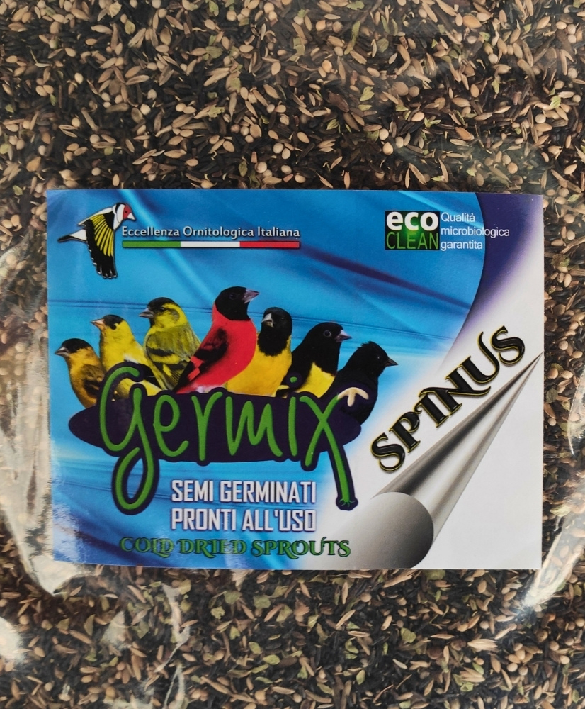 Germix spinus tarin 4kg - graines germées prêtes à l'emploi