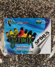 Germix spinus tarin 1kg - graines germées prêtes à l'emploi, conditionné en vrac