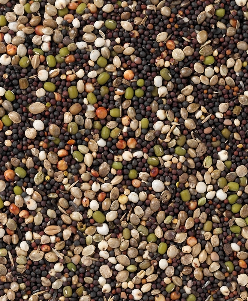 Deli Nature 82 - Graines à germer pour canaris 4kg